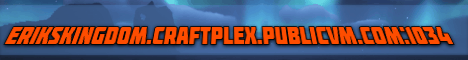 Eriks Kingdom - Minecraft Server