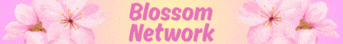 Blossom Network - Minecraft Server