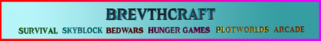 BrevthCraft - Minecraft Server