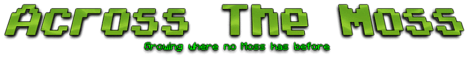 Across the Moss - Minecraft Server