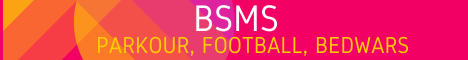 BSMS - Minecraft Server