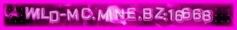 wild-MC - Minecraft Server