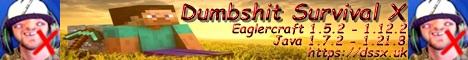 Dumbshit Survival X [1.12.2] - Minecraft Server