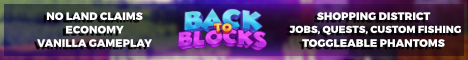 Back To Blocks - Minecraft Server