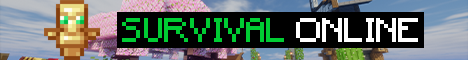 ✅SurvivalOnline.net⛏️Vanilla SMP⚡NO PAY2WIN - Minecraft Server