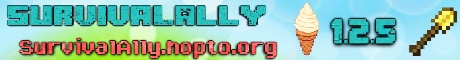 SurvivalAally - Minecraft Server