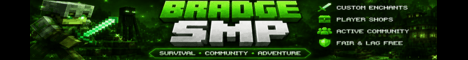 Bradges SMP - Minecraft Server
