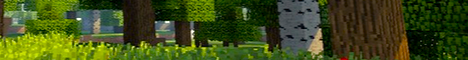 Draxalsmp - Minecraft Server