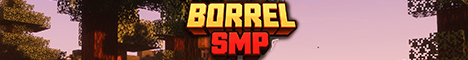 BorrelSMP - Minecraft Server