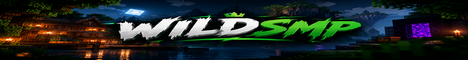 WIDDSMP - Minecraft Server