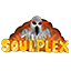 SoulPlex Network Logo