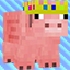 Pig Border SMP