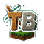 TerraBlocks Logo