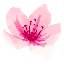 Miluvale Logo