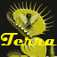 Terra Incognita Logo