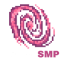 TetherSMP Logo
