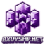 RXVYSMP Logo