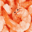 @\!~*!/ SHRIMPCRAFT \!*~!/@ Logo