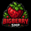 BigberrySMP