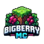 Bigbarrymc