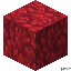 CoralSMP Logo