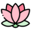 Lotus Fields Logo