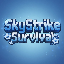 SkyStrike Survival