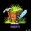RUNE SMP