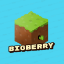 Bigberry Logo