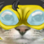 Angelix Mc