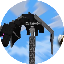 Pillars of Fortune