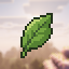 Matcha Flavoured SMP